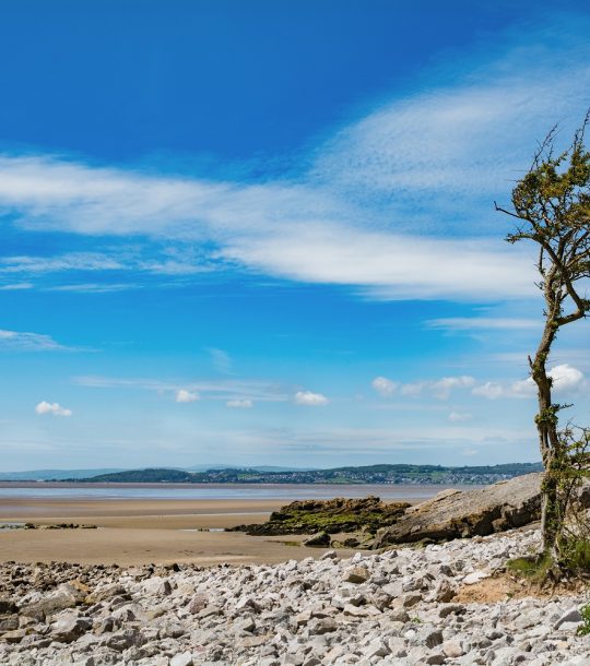Jenny Browns Point Silverdale