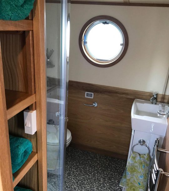 Toilet Shower